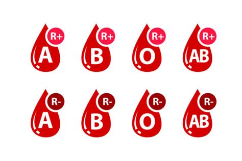 rhd positiv gravid|Til dig, der er gravid og har en rhesus negativ blodtype